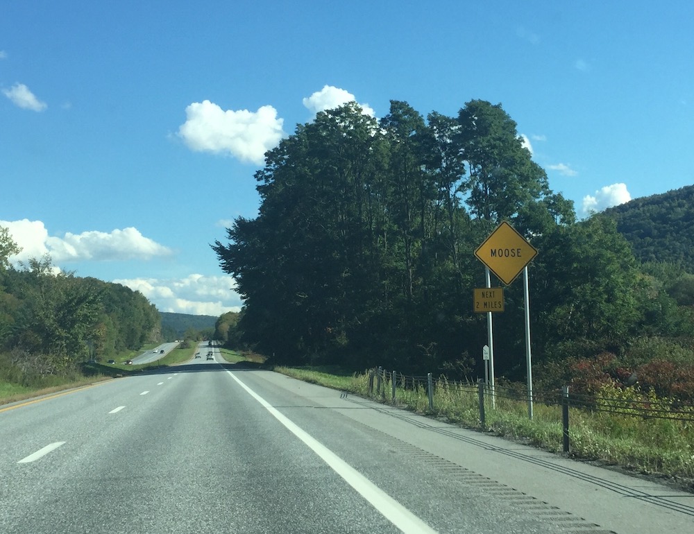 Photo of a long road